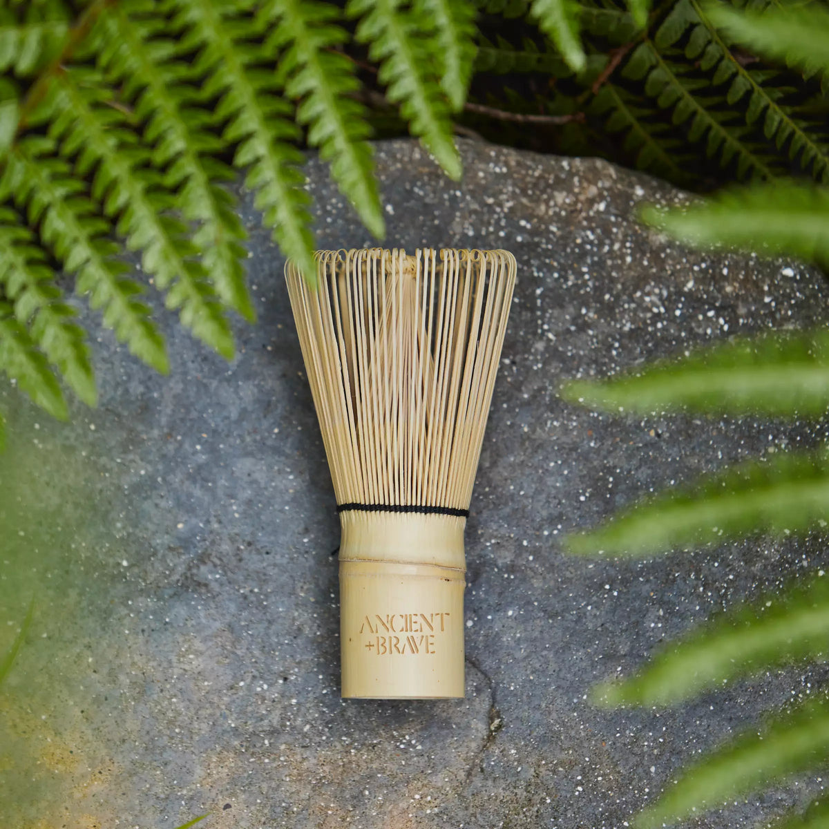 ANCIENT+BRAVE Matcha Plaktuvas – Ritual Whisk